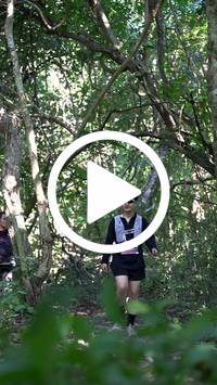 BIB:  <button type="button" onclick="openModal(28082802)" class="btn btn-primary btn-sm float-right" data-toggle="modal" data-target=".modal-high-quality">
                <i class="fa fa-download"></i> Download
                </button>